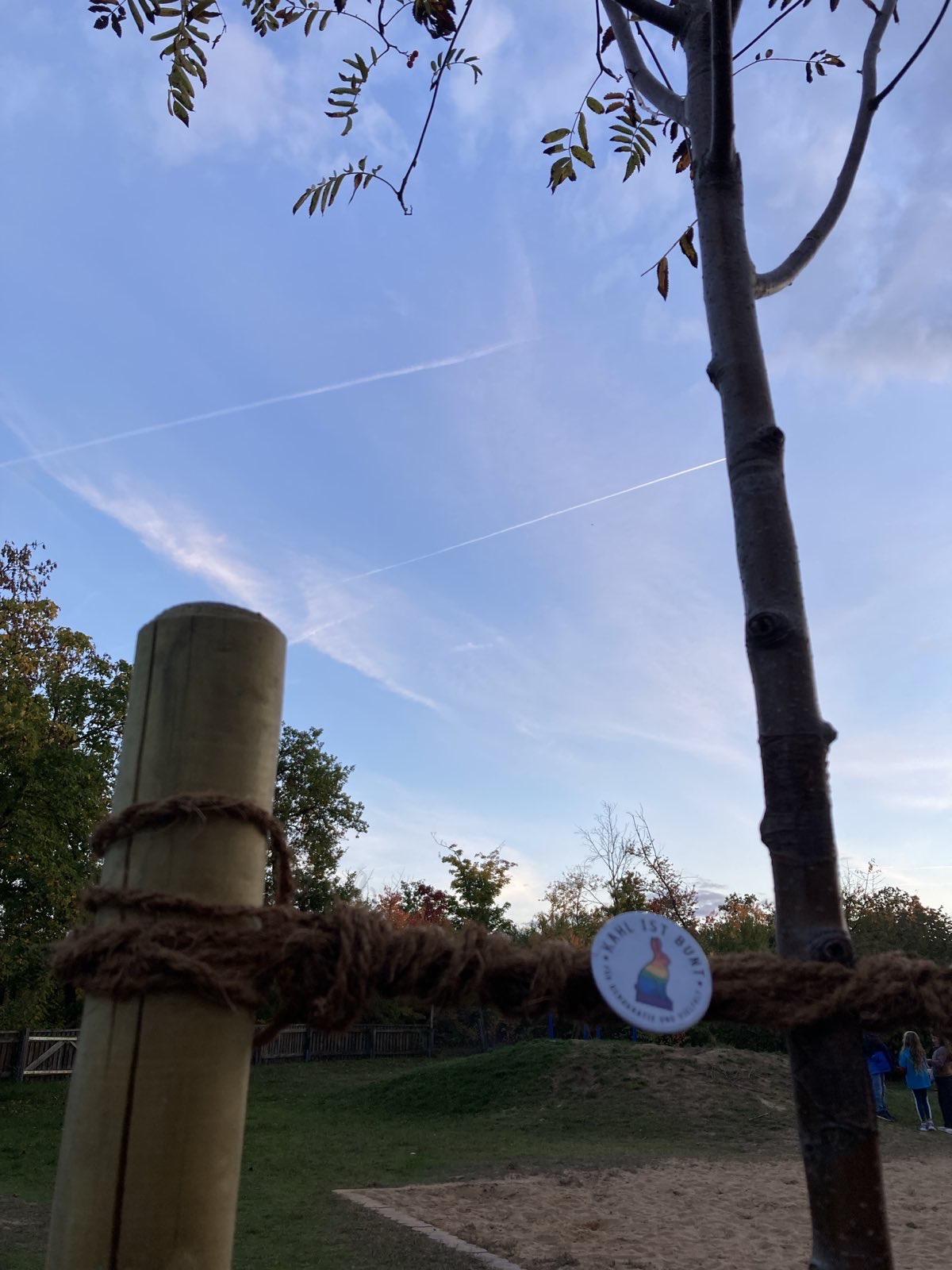 Baum vor klarem Himmel