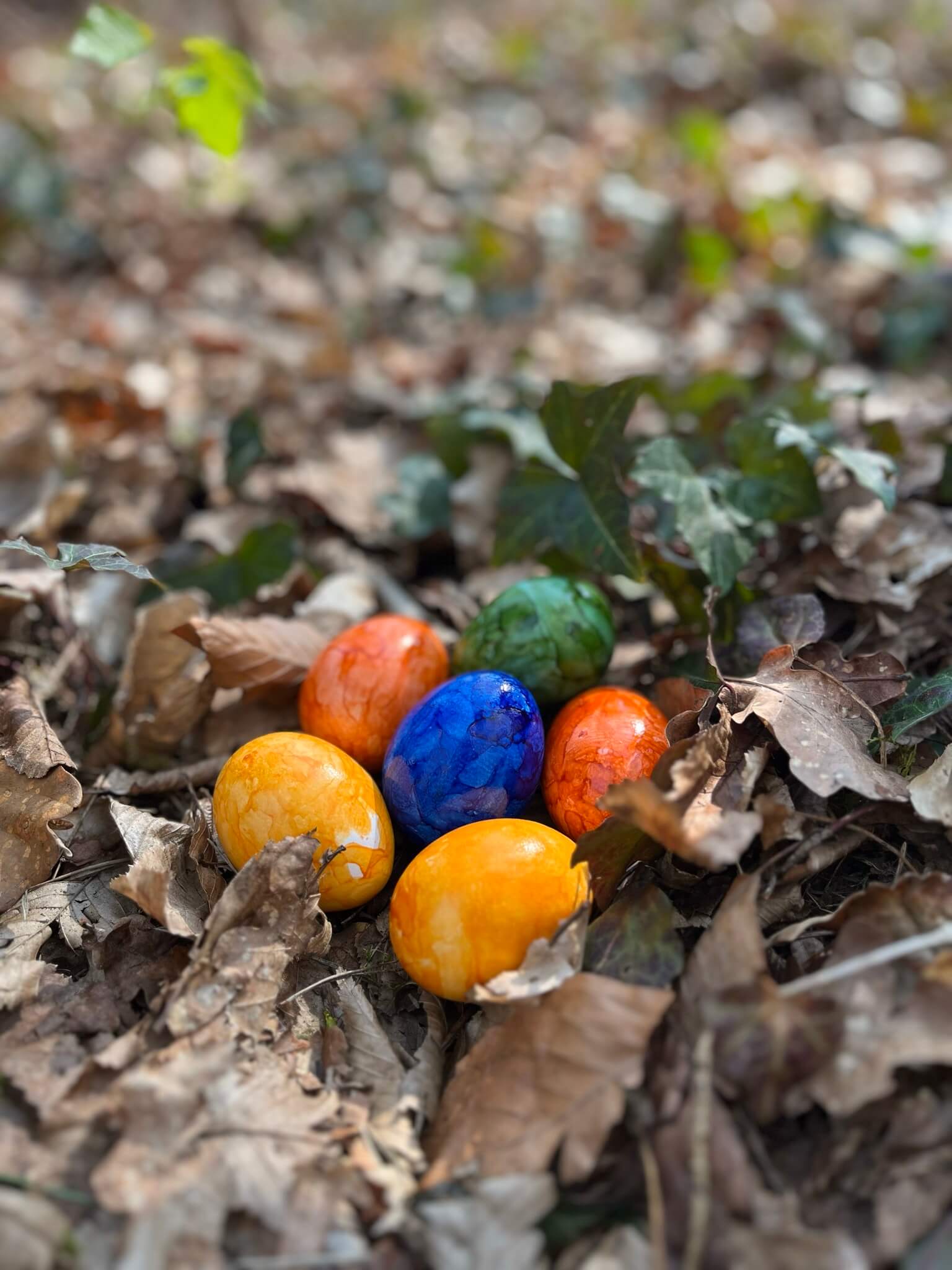 Osterwanderung 2026 - Eier